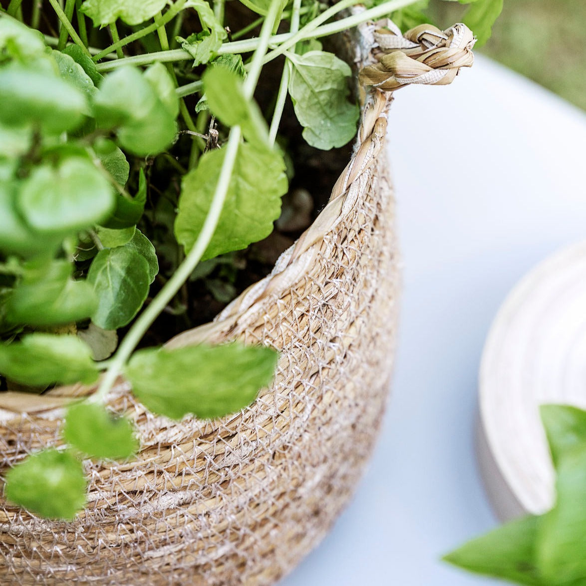 Seagrass Hanging Basket