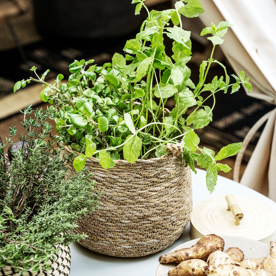 Seagrass Hanging Basket