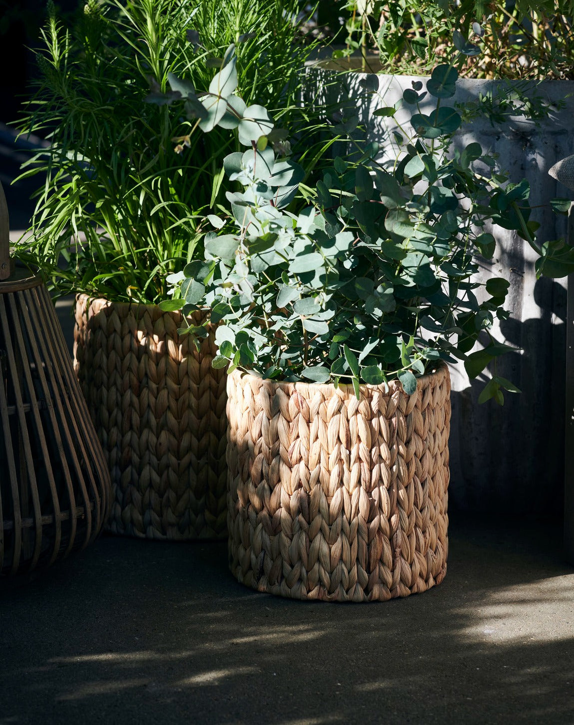 Water Hyacinth Baskets - Set of 3