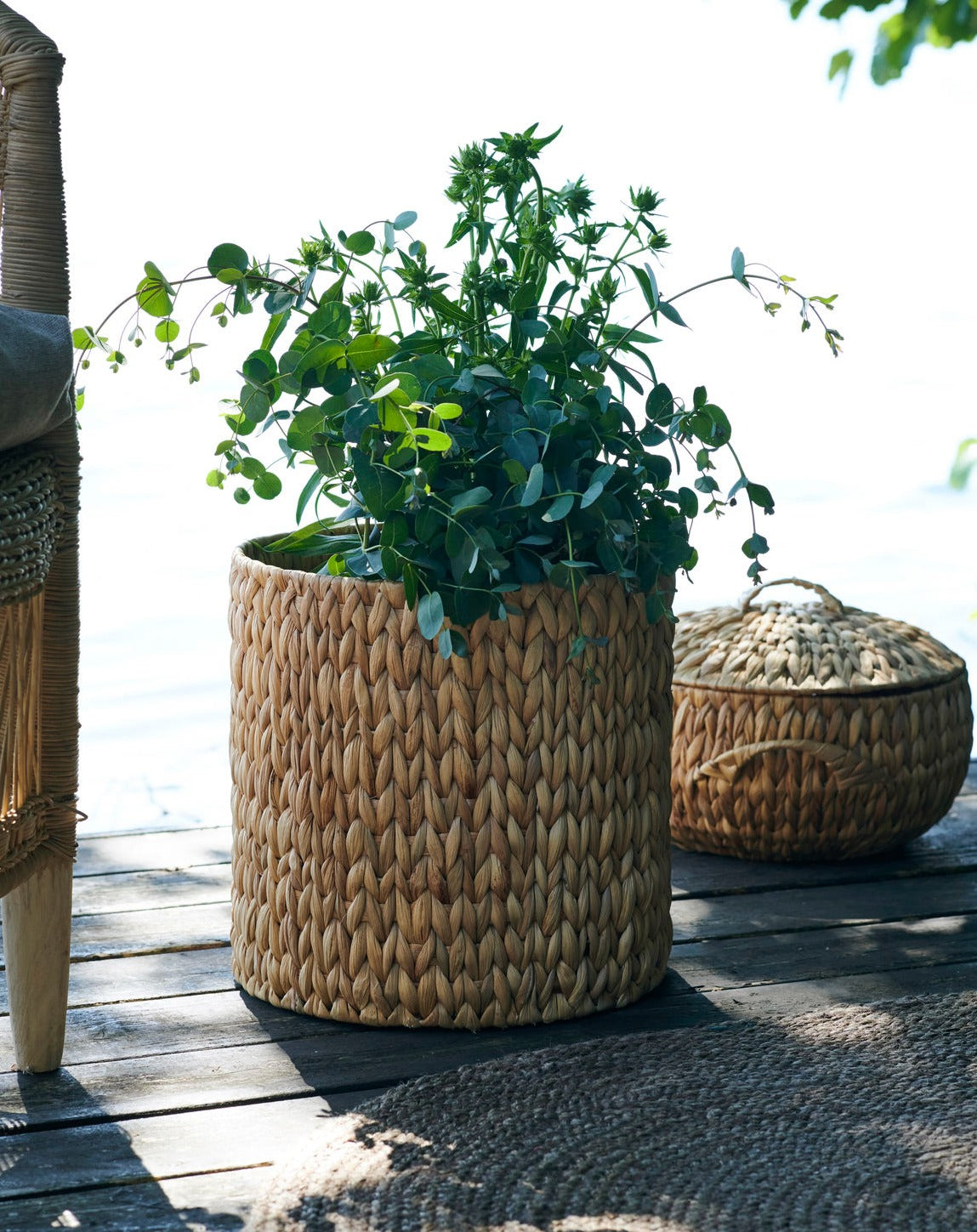 Water Hyacinth Baskets - Set of 3