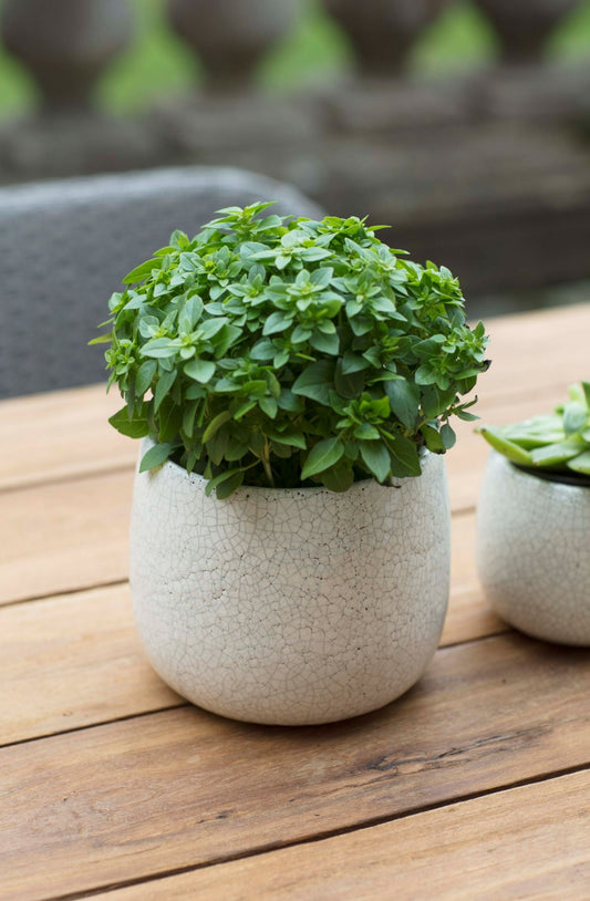 Crackle Glaze Pot White Medium